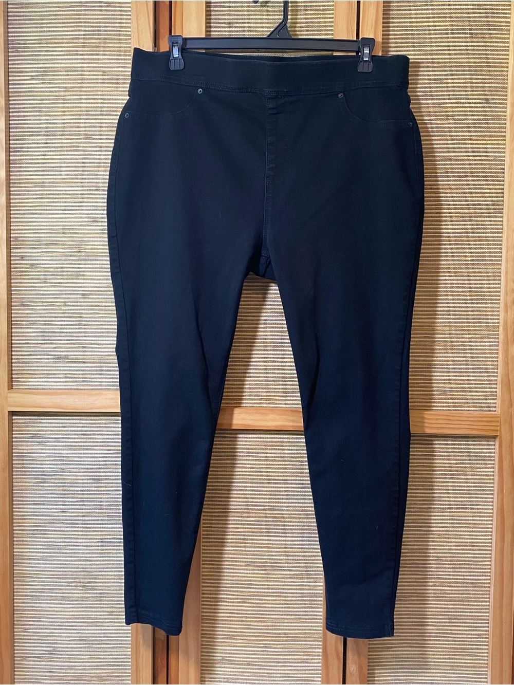Terra & Sky jeggings Sz 1X